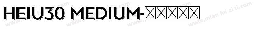 HeiU30 Medium字体转换